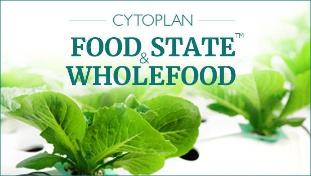 food state and wholefood