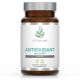 Antioxidant plus CoQ10